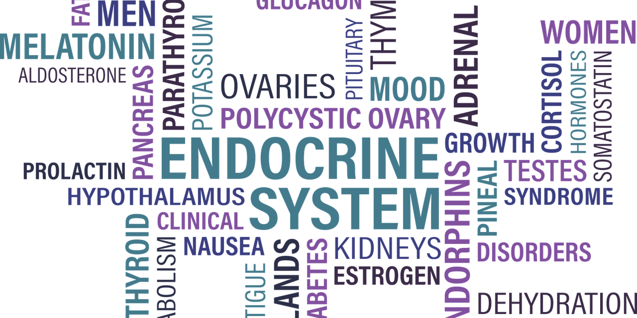 Introduction to Endocrinology MCQs